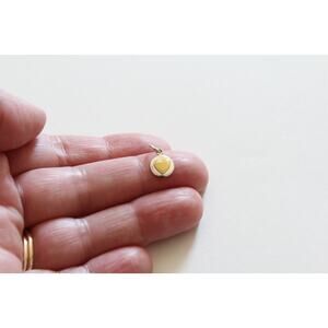 Sterling Silver Small Disk Charm with Bronze Heart Necklace